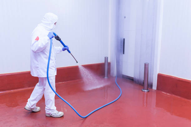 Best Pre-Holiday Cleaning  in North Muskegon, MI